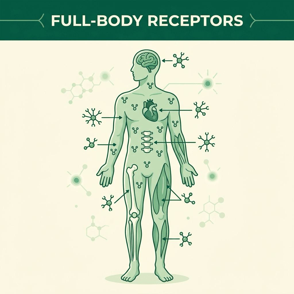 Full Body Care Infographic